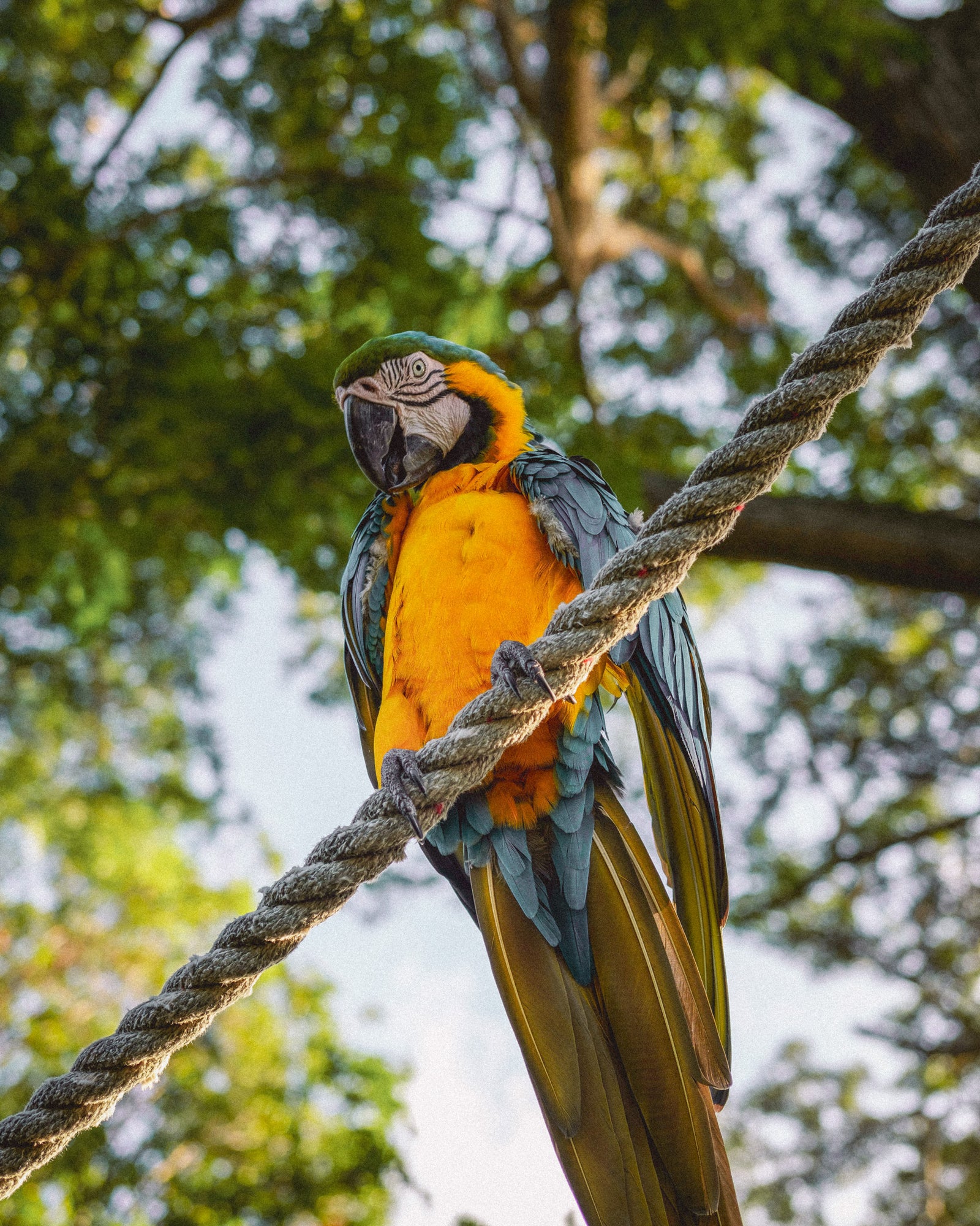 Buy a travel eSIM for Guadeloupe