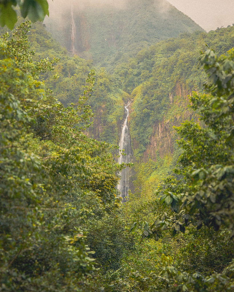 Buy a travel eSIM for Liberia