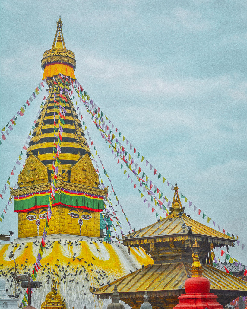 Buy a travel eSIM for Nepal