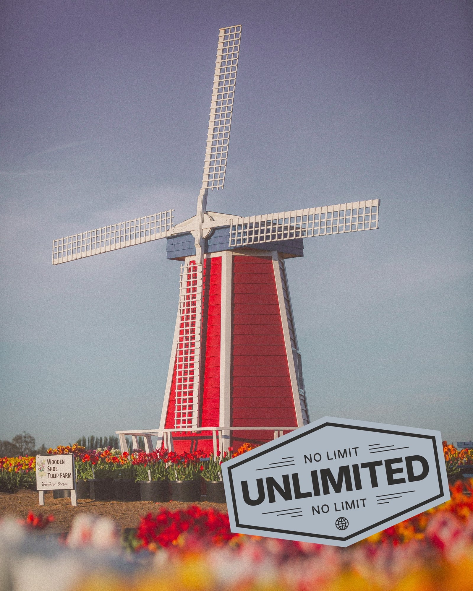 Netherlands landscape showing iconic red and white windmill, promoting eSIM unlimited data for travellers