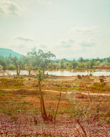 Buy a travel eSIM for Niger