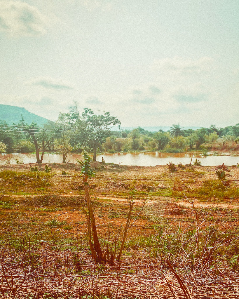 Buy a travel eSIM for Niger