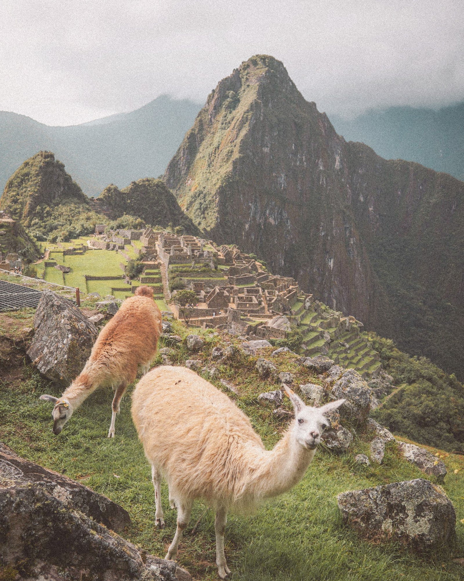 Buy a travel eSIM for South America