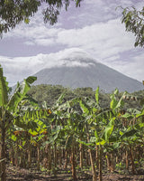 Buy a travel eSIM for Uganda