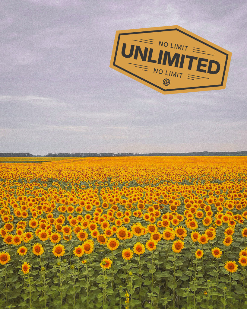 Buy a travel eSIM for Ukraine with unlimited data