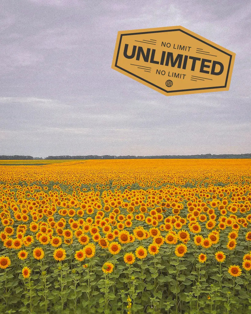 Buy a travel eSIM for Ukraine with unlimited mobile data