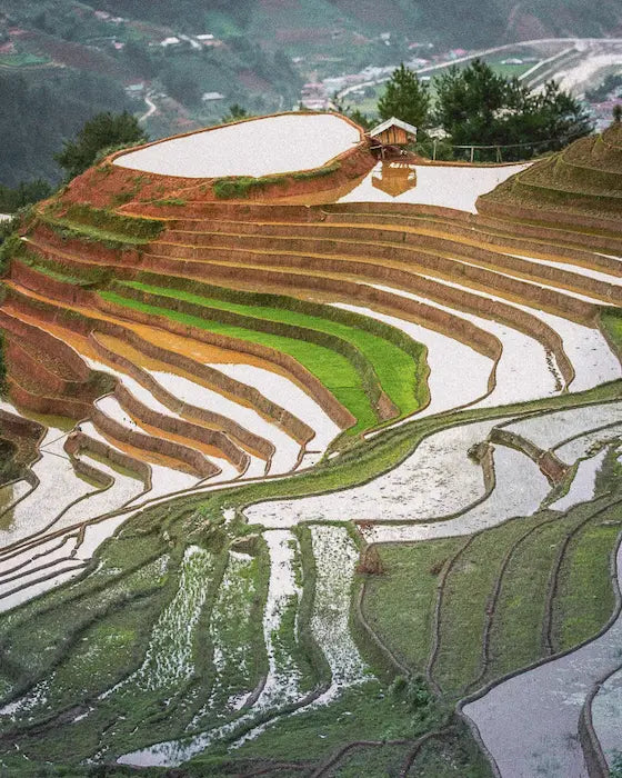 Vietnam eSIM